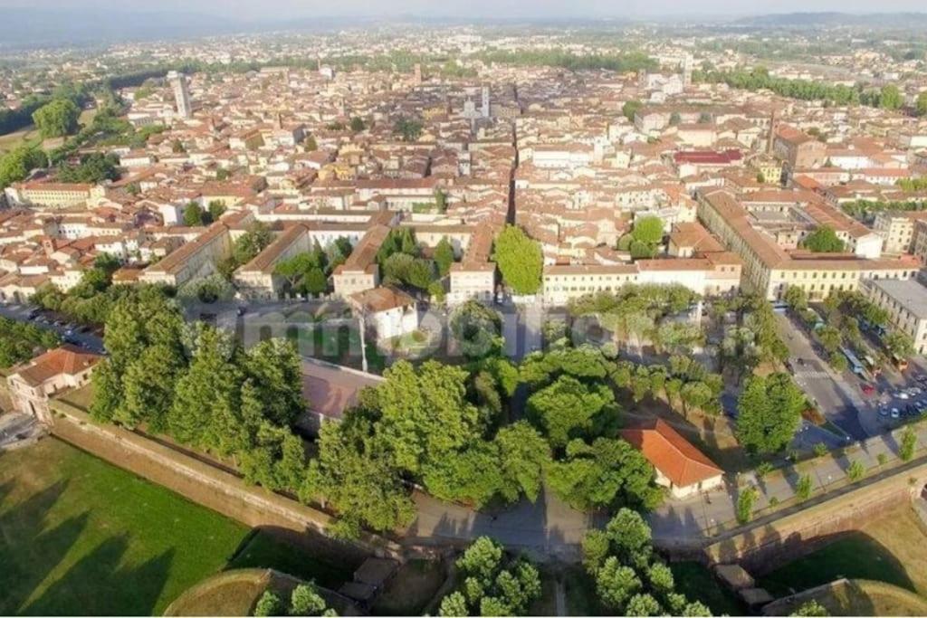 50 Metri Duomo Di Lucca Self Check-In E Wi-Fi Lejlighed Eksteriør billede